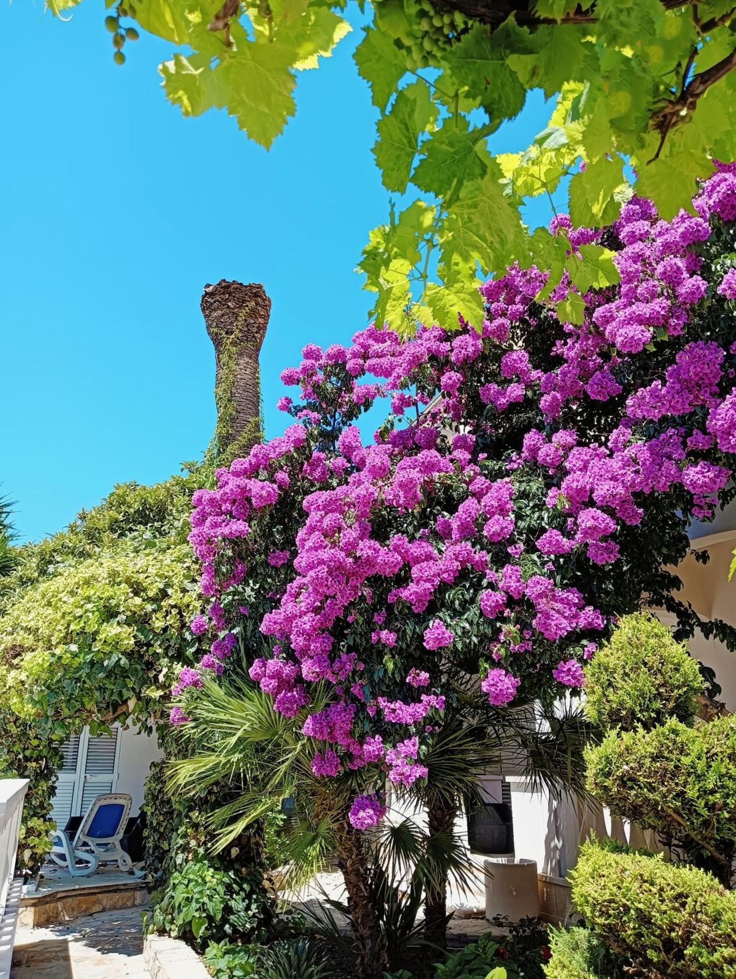 Villa Aspalathos Kaštela Esterno foto